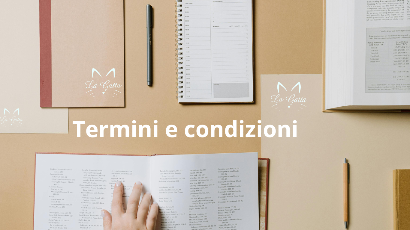 Termini e condizioni - mano che indica un punto su un documento