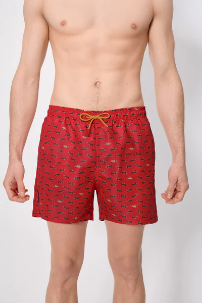 Costume da bagno intero con stampa bassotto rosso - immagine 4